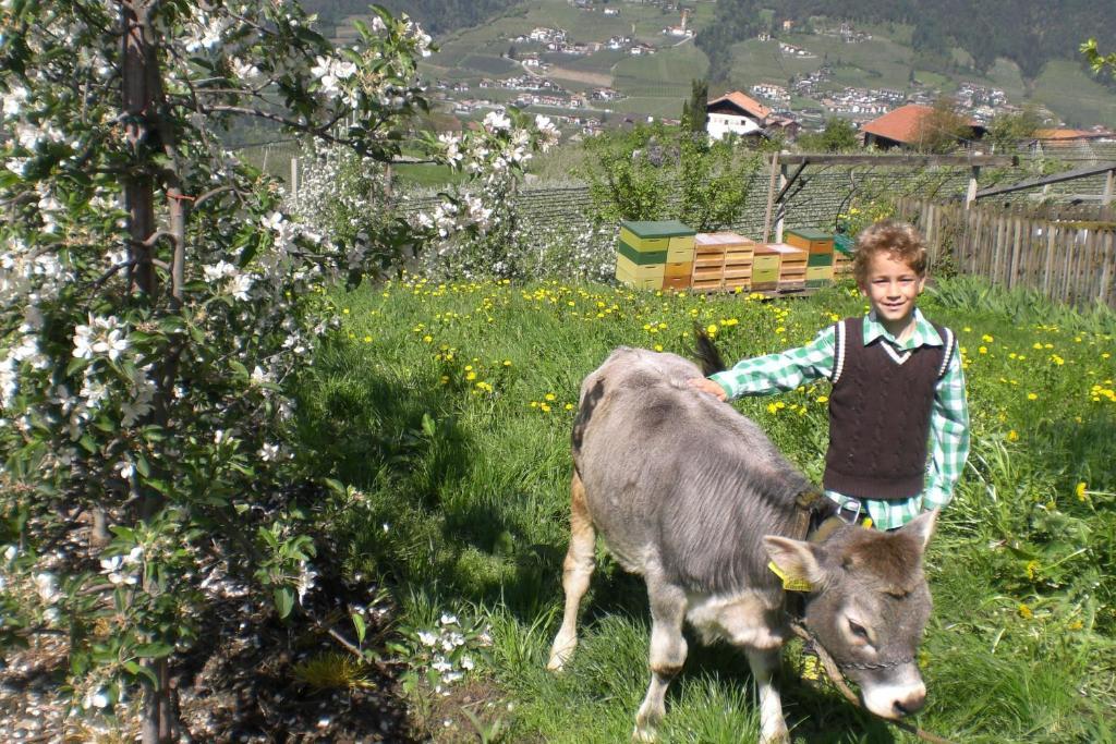 Krebishof Agriturismo Schenna Luaran gambar
